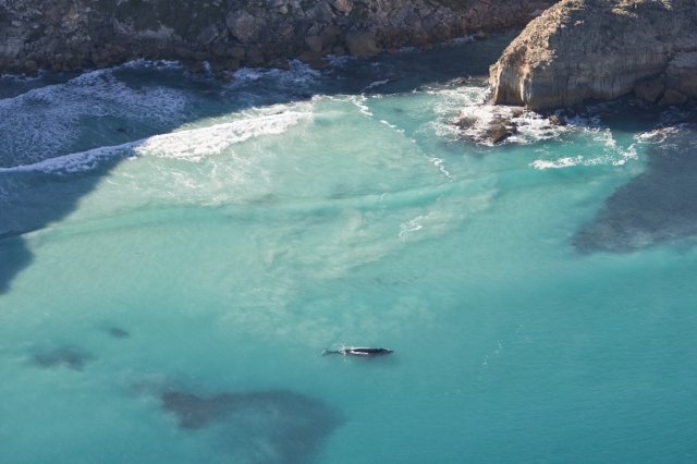 Kulinarisch und sportlich unterwegs in South Australia
