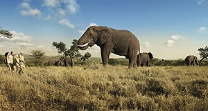 UM setzt South African Tourism in Szene UM setzt South African Tourism in Szene