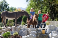 Kinder mit Pony und Esel