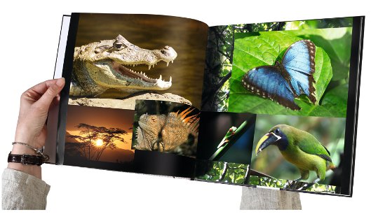 my moments versendet Ihre Fotobücher klimaneutral