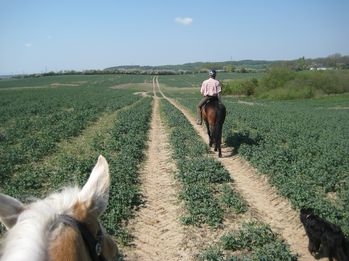 Ausreitgebiet Mecklenburgische Seenplatte: Weites Land