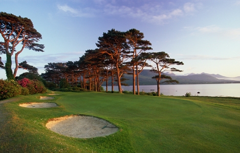 Mit Golfmotion auf den grünen Teppich!