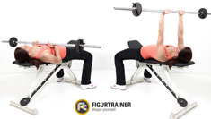 Trizeps Training mit Hanteln