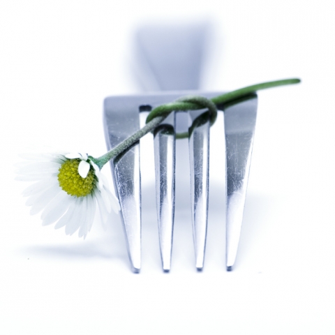 Sommerliches Fingerfood in BIO-Qualität - für Grillpartys, Sommerfeste und Hochzeiten in und Berlin Sommerliches Fingerfood in BIO-Qualität - für Grillpartys, Sommerfeste und Hochzeiten in und Berlin
