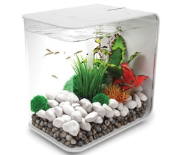 Designeraquarium biOrb Flow ab Mitte Juni in Deutschland erhältlich