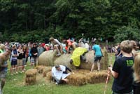 Großer Einsatz war bei einem Sponsorenlauf über einen Hindernisparcours gefragt. Großer Einsatz war bei einem Sponsorenlauf über einen Hindernisparcours gefragt.