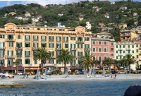 Santa Margherita Ligure - Foto Pantera Rosa Santa Margherita Ligure - Foto Pantera Rosa