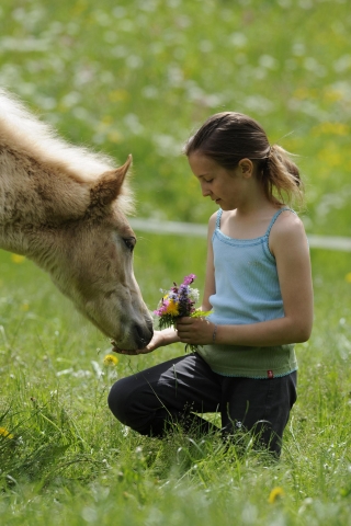 Ponys und Ferien - Erlebnis für Kinder Ponys und Ferien - Erlebnis für Kinder
