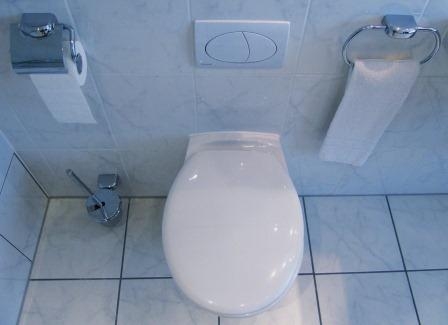 Vermieter-Rechtsschutzversicherung: Eine laufende Toilettenspülung und ihr abruptes Ende Vermieter-Rechtsschutzversicherung: Eine laufende Toilettenspülung und ihr abruptes Ende