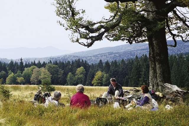 Familien-Ferien-Spaßim Sonnenhotel Bayerischer Hof