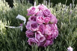 Pure Inspiration: Der schönste Brautstraußfür die Hochzeit