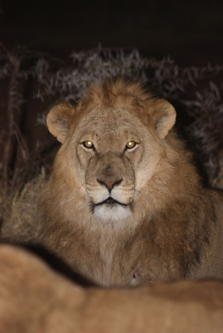 Exklusive, geführte Incentive-Reise nach Namibia 2012. Exklusive, geführte Incentive-Reise nach Namibia 2012.