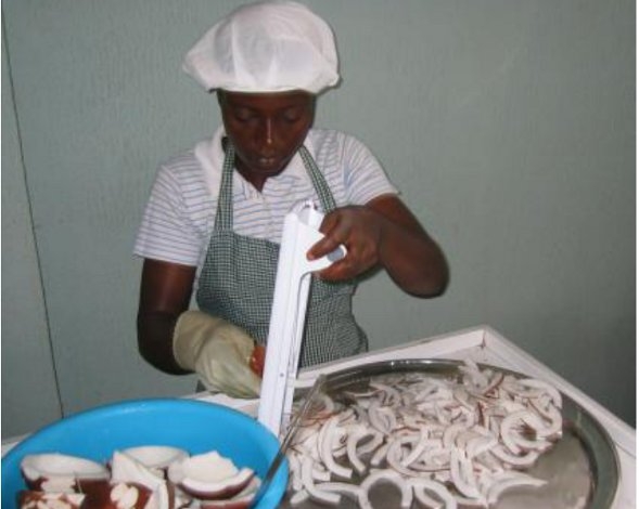 Getrocknete Ananas und Kokoschips aus Ghana Getrocknete Ananas und Kokoschips aus Ghana
