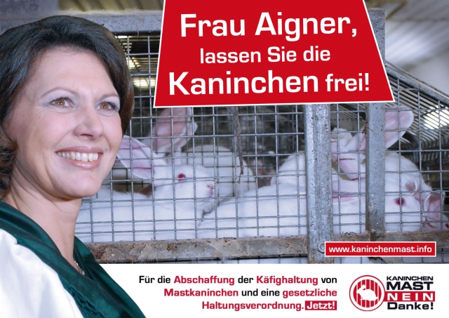 Deutscher Tierhilfe Verband beteiligt sich an Postkarten-Aktion