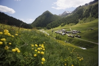 Almendorf Fane Alm im Valser Tal (Eisacktal) Almendorf Fane Alm im Valser Tal (Eisacktal)