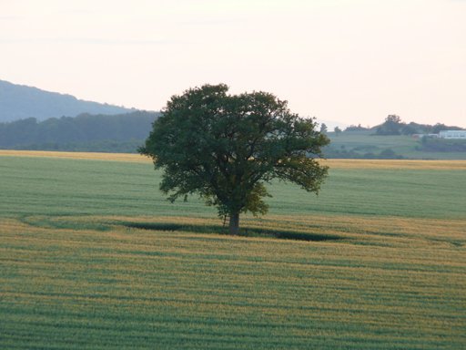 Landschaft im Werratal Landschaft im Werratal