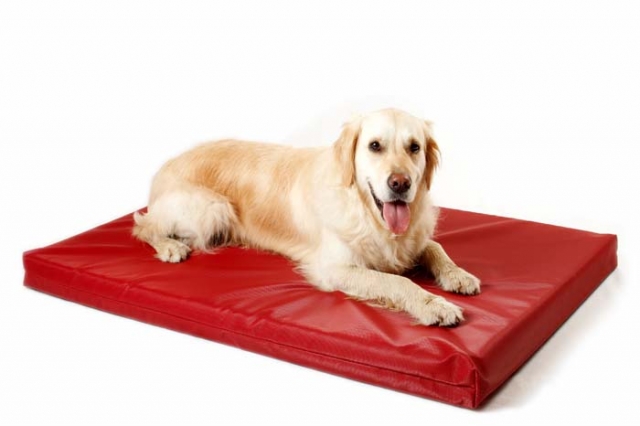 Antiallergische Hundematten