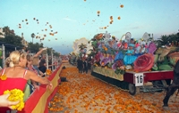 Valencia - Feria de Julio-Blumenschlacht Valencia - Feria de Julio-Blumenschlacht