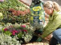 frux-Grabpflanzerde-60l