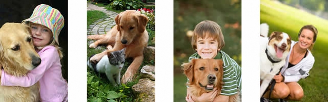 Die mobile Hundeschule Bednarz in Deutschland macht freundliche Hunde Die mobile Hundeschule Bednarz in Deutschland macht freundliche Hunde