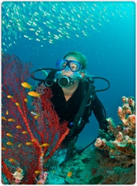 Yachtvercharterer Moorings bietet Tauchsportlern neues Angebot Yachtvercharterer Moorings bietet Tauchsportlern neues Angebot
