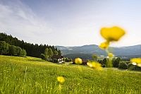 Landschaft im Bayerischen Wald Landschaft im Bayerischen Wald