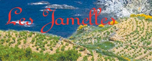 Lesn Jamelles Weine bei BELVINI.DE Lesn Jamelles Weine bei BELVINI.DE