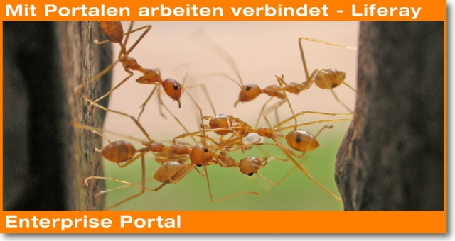 Liferay Portal 6.0 in Projekten erfolgreich einsetzen Liferay Portal 6.0 in Projekten erfolgreich einsetzen