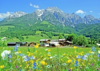 Blick auf Steinalm