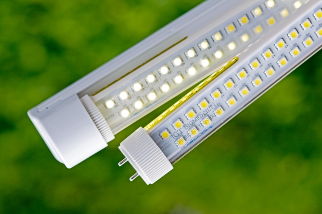 Beleuchtung mit LED: hocheffizient und schadstofffrei Beleuchtung mit LED: hocheffizient und schadstofffrei