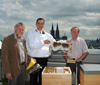 v.l.: Johann van der Bongard, Hoteldirektor Rolf Slickers und Gregor Köppen v.l.: Johann van der Bongard, Hoteldirektor Rolf Slickers und Gregor Köppen