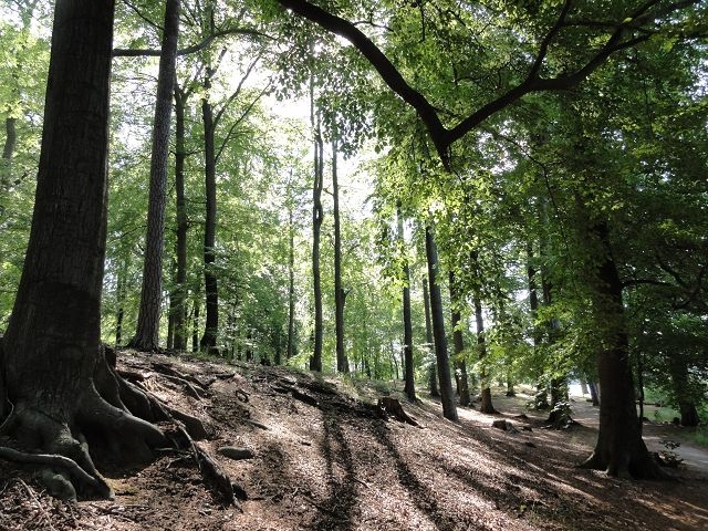 Windkraftanlagen am Liepnitzsee Windkraftanlagen am Liepnitzsee