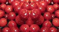 Herzhafte und gesunde Cranberry aus Canada Herzhafte und gesunde Cranberry aus Canada