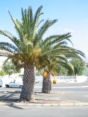 Reiseportal von Marketing Nastasi Reiseportal von Marketing Nastasi
