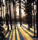 Nationalpark Bayerischer Wald Nationalpark Bayerischer Wald