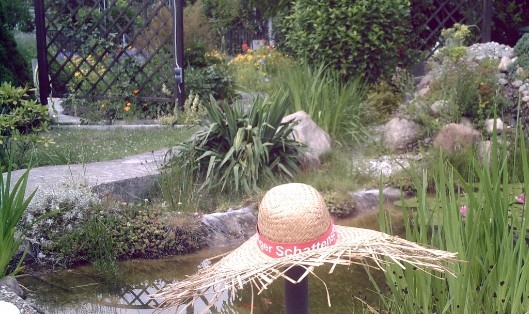 Teich anlegen mit Produkten aus dem Teichzubehör Shop Teich anlegen mit Produkten aus dem Teichzubehör Shop