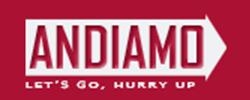 Andiamo Corporation (ANDI) führt den Andiamo Corporation (ANDI) führt den