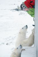 Churchill, Manitoba, Kanada Churchill, Manitoba, Kanada