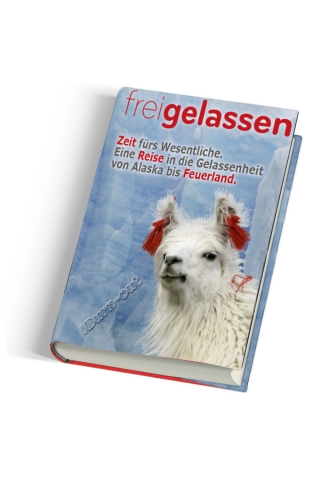 Buchneuerscheinung! freigelassen - iBurn-out Buchneuerscheinung! freigelassen - iBurn-out