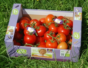Nature&More gibt Bio-Tomaten eine Stimme Nature&More gibt Bio-Tomaten eine Stimme