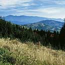 Bayerische Landschaft Bayerische Landschaft