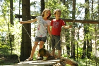 Waldspielplatz Waldspielplatz