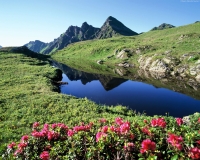Alpbachtal