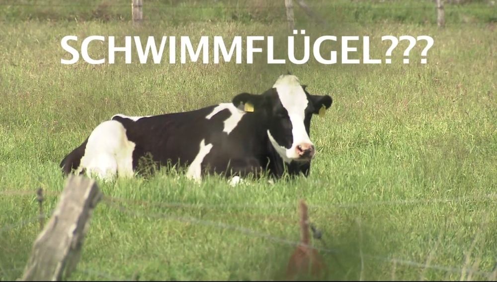 Teil 1 der Filmreihe erklärt Verwundbarkeit im Zuge des Klimawandels Teil 1 der Filmreihe erklärt Verwundbarkeit im Zuge des Klimawandels