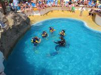 Kinder tauchen im Pool auf AIDAvita Kinder tauchen im Pool auf AIDAvita