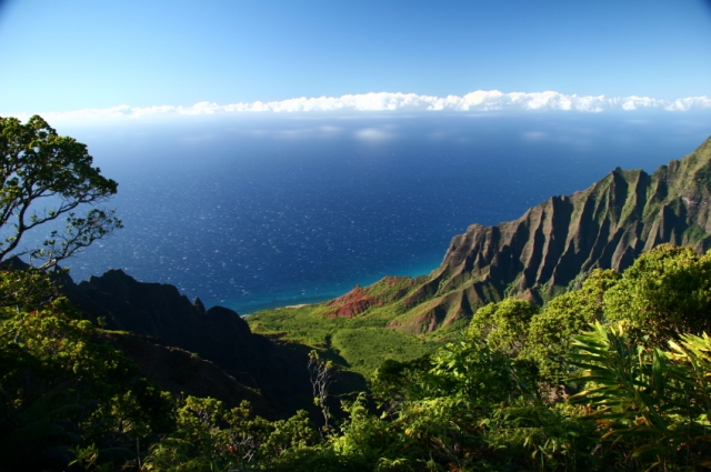 Traumreisen zu Traumpreisen: Kreuzfahrt nach Hawaii