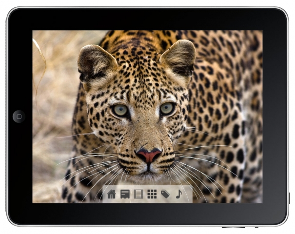 Namibia-Safari fürs iPad Namibia-Safari fürs iPad