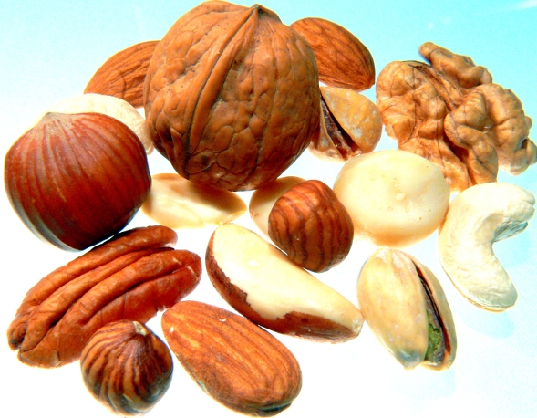 Nüsse - Geschenke der Natur Nüsse - Geschenke der Natur