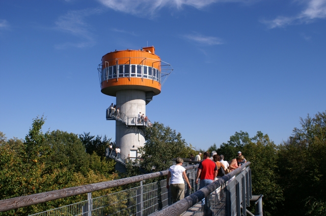 Erlebnistage im schönen Mühlhausen - Erkundungstour im Weltnaturerbe Nationalpark Hainich Erlebnistage im schönen Mühlhausen - Erkundungstour im Weltnaturerbe Nationalpark Hainich