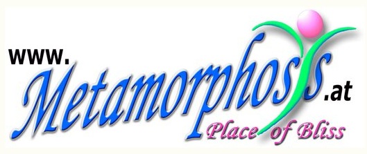 Metamorphosys Seminarhaus - Baum Internet Metamorphosys Seminarhaus - Baum Internet